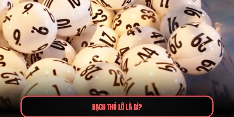 Bạch thủ lô là gì?