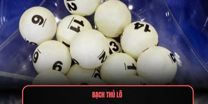 Bạch thủ lô