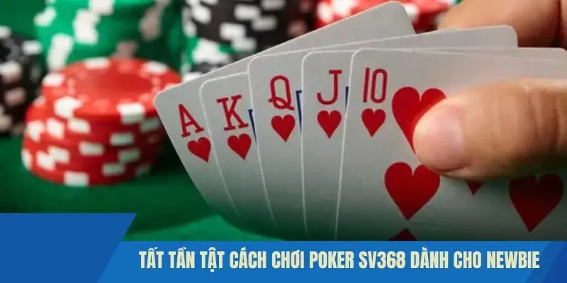 Tất tần tật cách chơi Poker SV368 dành cho Newbie